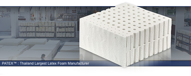 Latex Foam Manufacturer 12